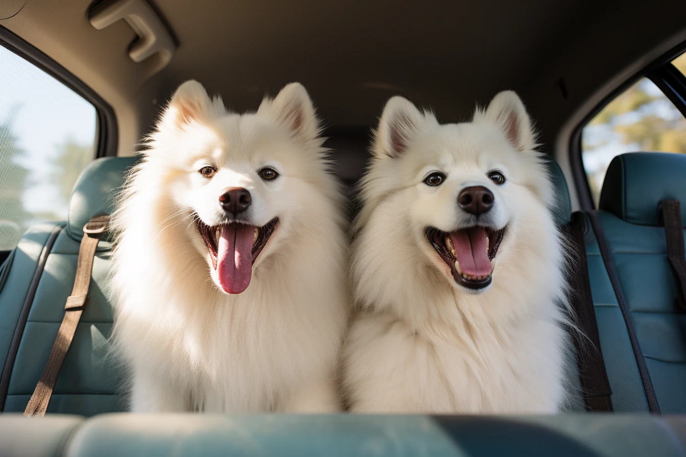 Buick Enclave Dog Car Seat for American Eskimo Dogs