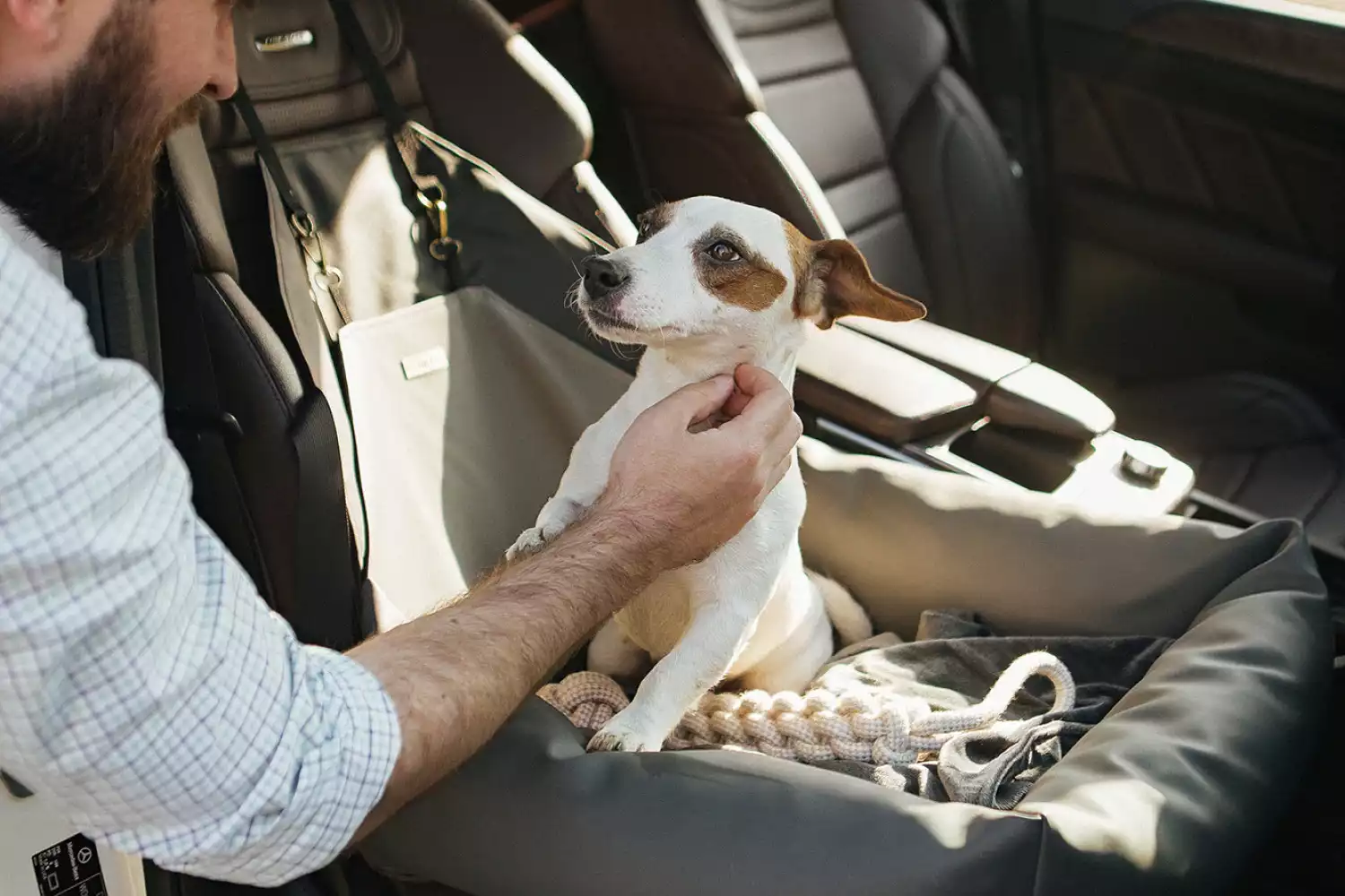 Brussels Griffons Dog Car Seat for Jeep Wrangler