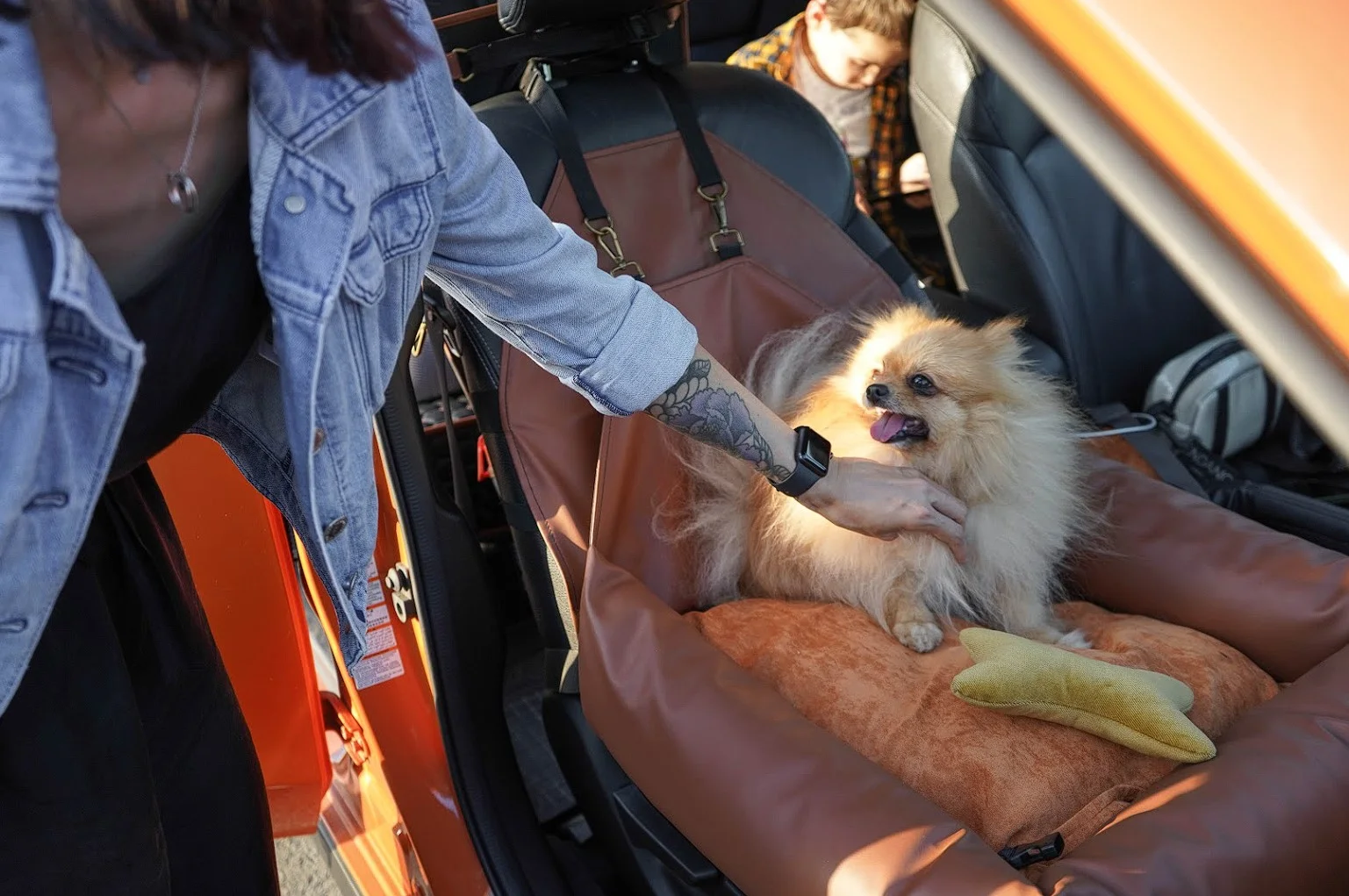 Buick Enclave Dog Car Seat for American Eskimo Dogs